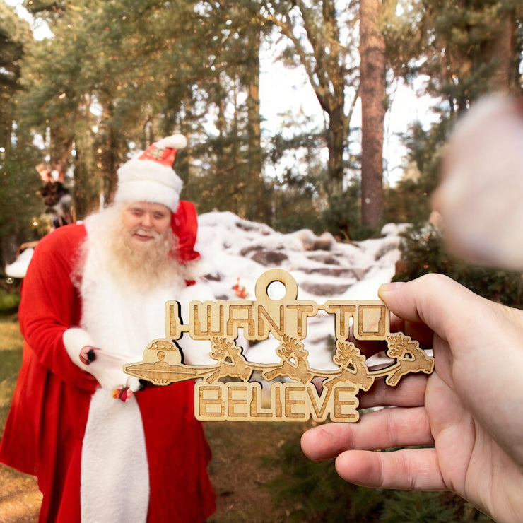 Ornament - I Want to Believe - Raw Wood 6x3in