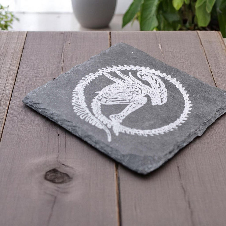Coaster - Slate - Alien Fossil - SET OF 2