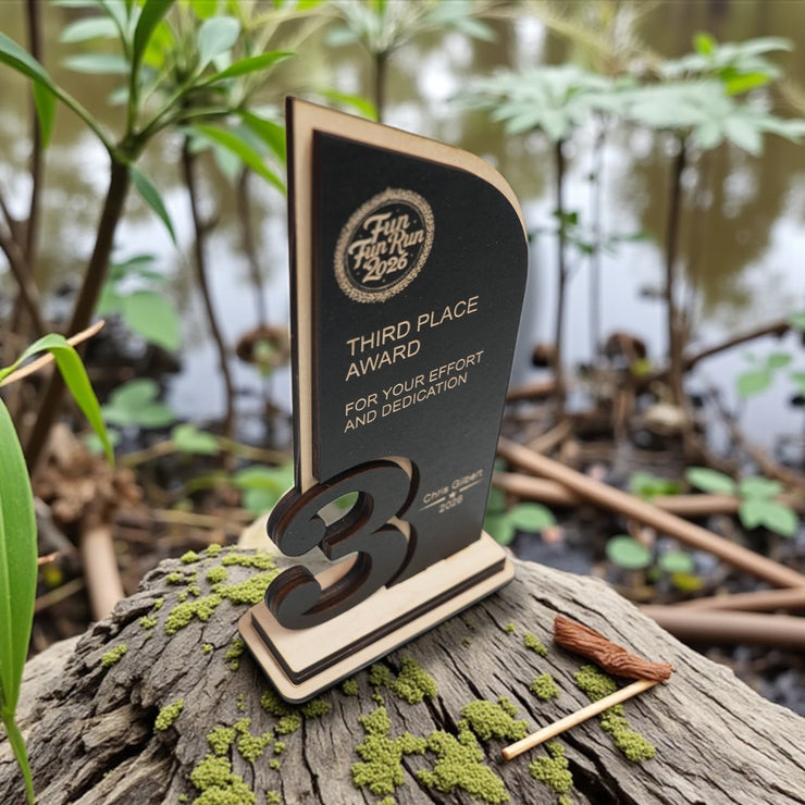 Award - PERSONALIZED - Trophy Award 1st 2nd 3rd Place