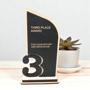 Award - Trophy Award 1st 2nd 3rd Place - 9x5 Inches