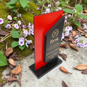Award - PERSONALIZED - Trophy Award 4 - Color - 12x7 Inhces