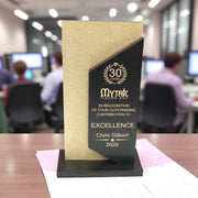 Award - PERSONALIZED - Trophy Award 4 - Color - 12x7 Inhces