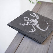 Coaster - Slate - Dinosaur Fossil - SET OF 2
