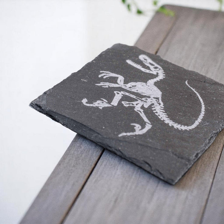 Coaster - Slate - Dinosaur Fossil - SET OF 2