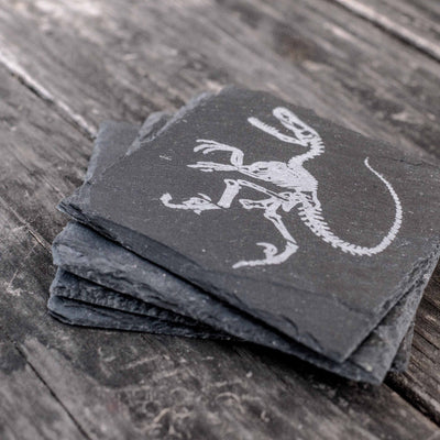 Coaster - Slate - Dinosaur Fossil - SET OF 2