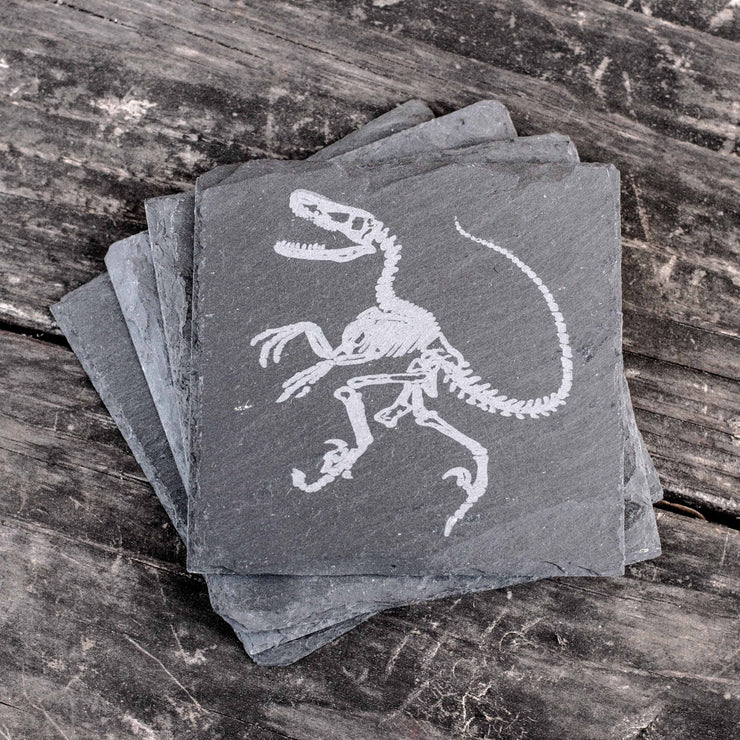 Coaster - Slate - Dinosaur Fossil - SET OF 2