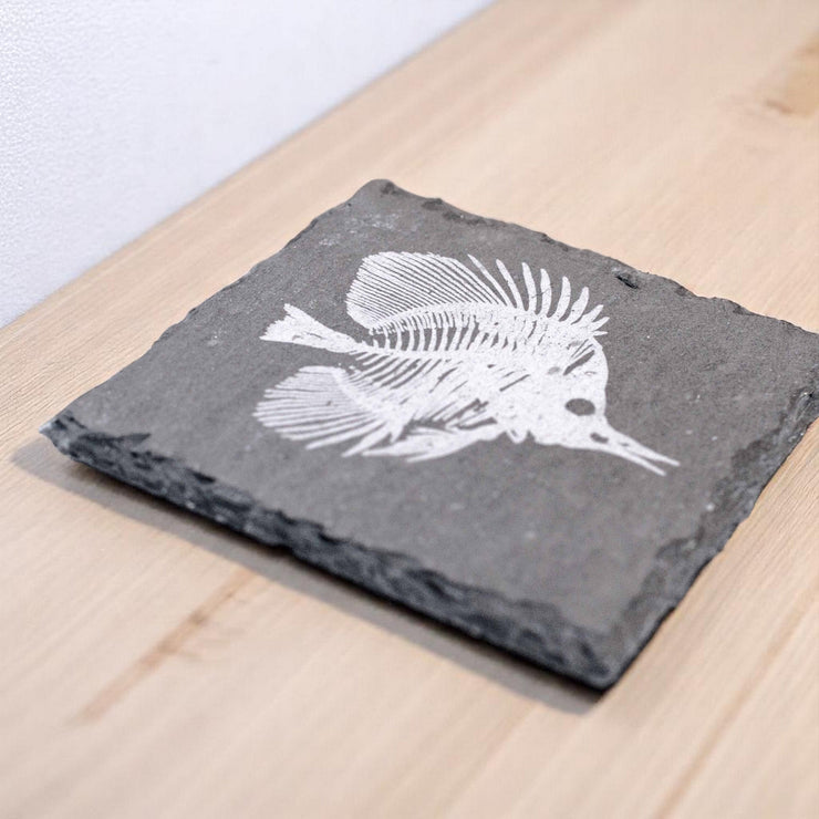 Coaster - Slate - Fish Fossil - SET OF 2