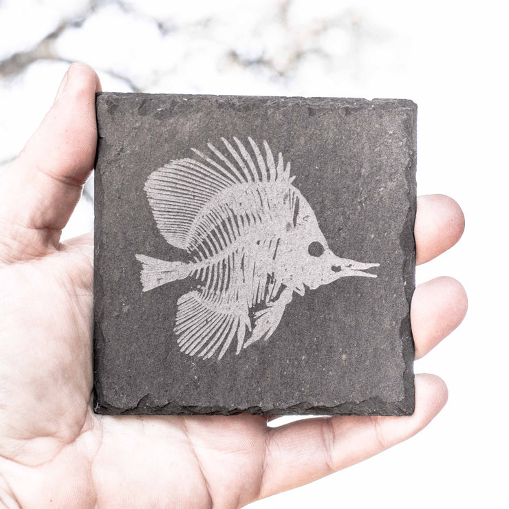 Coaster - Slate - Fish Fossil - SET OF 2