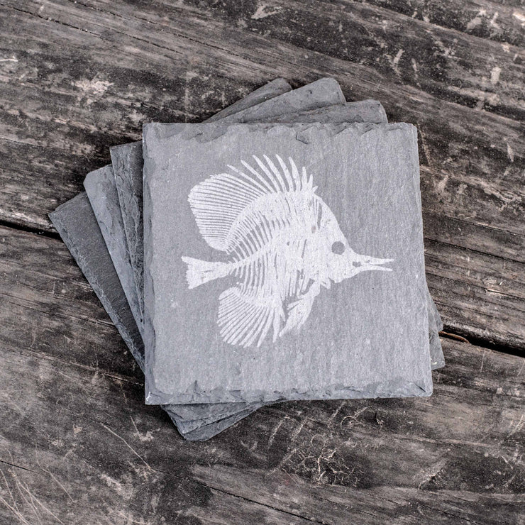 Coaster - Slate - Fish Fossil - SET OF 2
