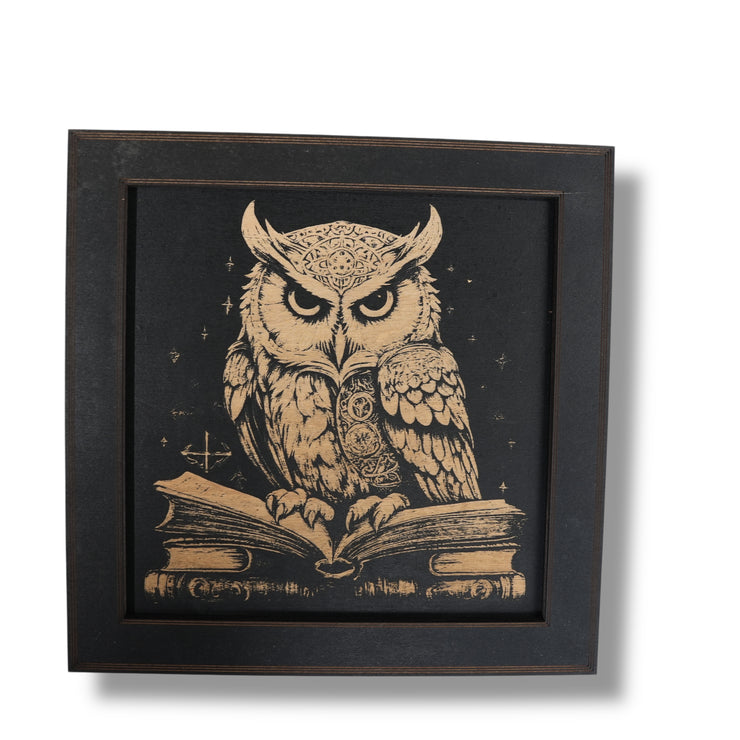 Framed Art - CUSTOM - Owls SET of 3 Pictures