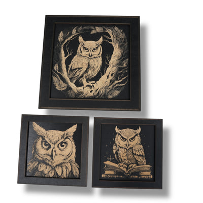 Framed Art - CUSTOM - Owls SET of 3 Pictures