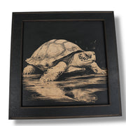 Framed Art - CUSTOM - Reptiles SET of 3 Pictures