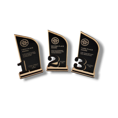 Award - PERSONALIZED - Trophy Award 1st 2nd 3rd Place