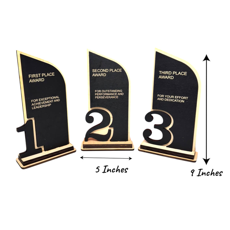 Award - Trophy Award 1st 2nd 3rd Place - 9x5 Inches