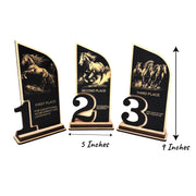 Award - Trophy - CUSTOM - Horse - 1st 2nd 3rd Place - 9x5 Inches