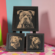 Framed Art - CUSTOM - Pit Bull SET of 3 Pictures