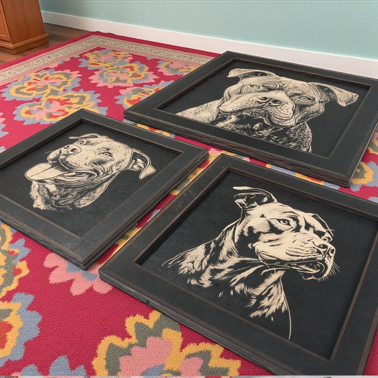 Framed Art - CUSTOM - Pit Bull SET of 3 Pictures