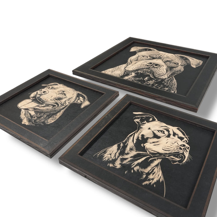 Framed Art - CUSTOM - Pit Bull SET of 3 Pictures