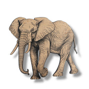Signs - Black - Safari Animals - SET of 4 LARGE - Double stick tape included