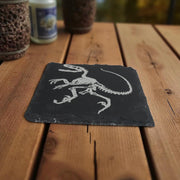 Coaster - Slate - Dinosaur Fossil - SET OF 2