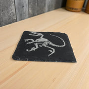 Coaster - Slate - Dinosaur Fossil - SET OF 2