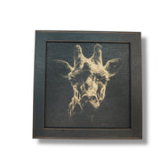 Framed Art - CUSTOM - Giraffe SET of 3 Pictures