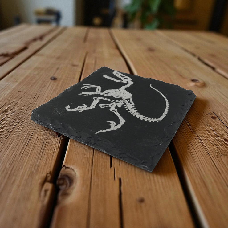Coaster - Slate - Dinosaur Fossil - SET OF 2
