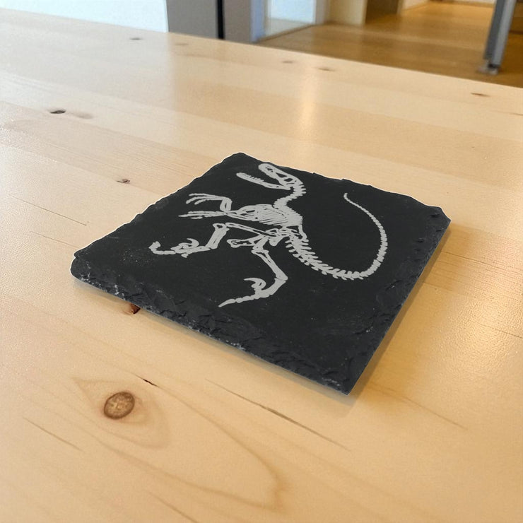 Coaster - Slate - Dinosaur Fossil - SET OF 2