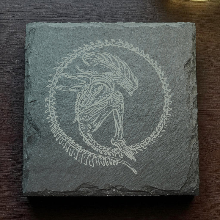 Coaster - Slate - Alien Fossil - SET OF 2