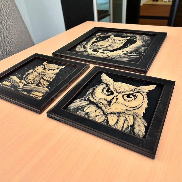 Framed Art - CUSTOM - Owls SET of 3 Pictures
