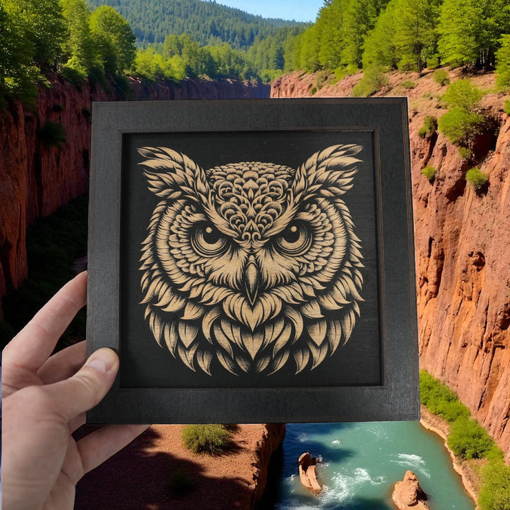 Framed Art - CUSTOM - Owl