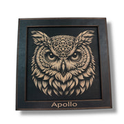 Framed Art - PERSONALIZED - CUSTOM - Owl