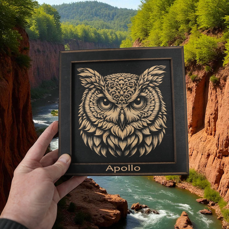 Framed Art - PERSONALIZED - CUSTOM - Owl