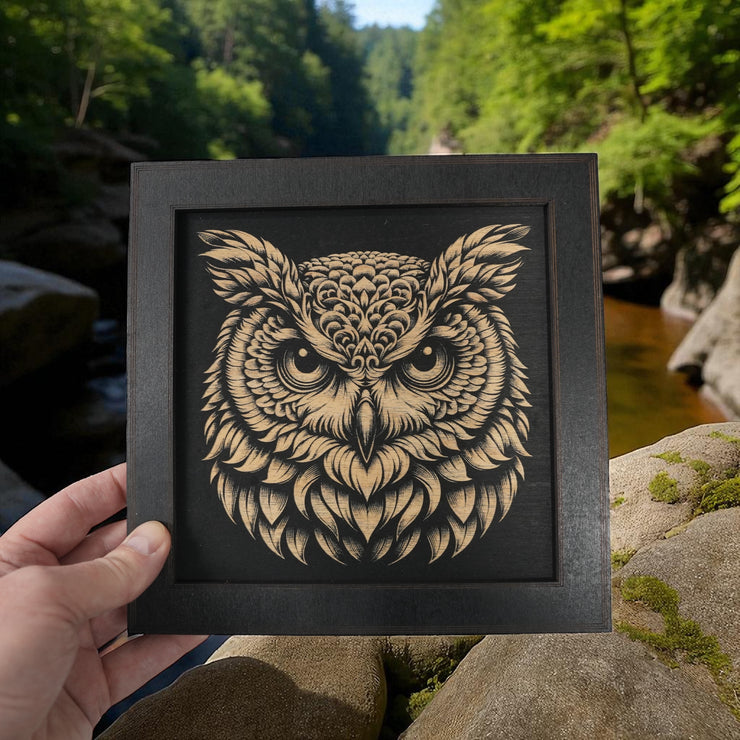 Framed Art - CUSTOM - Owl