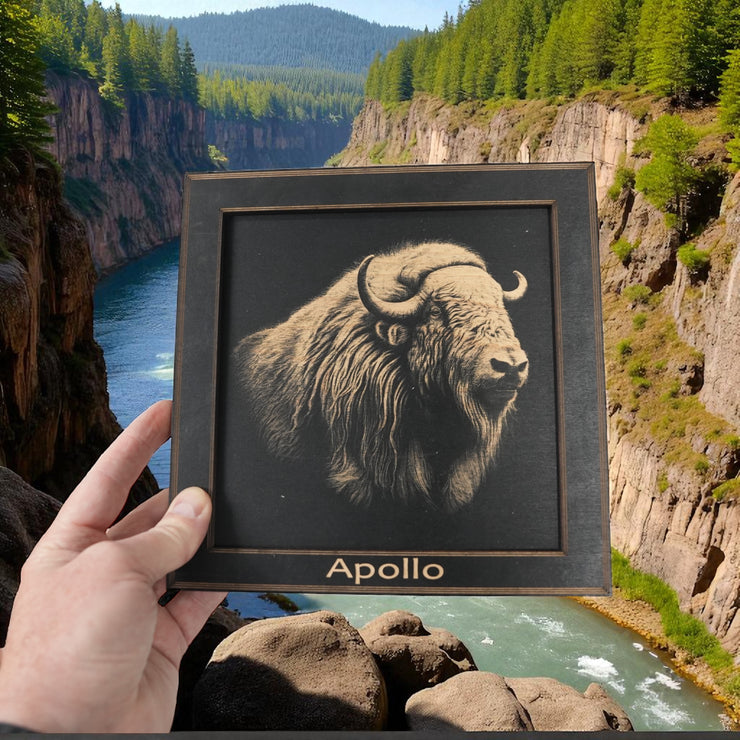 Framed Art - PERSONALIZED - CUSTOM - Musk Ox