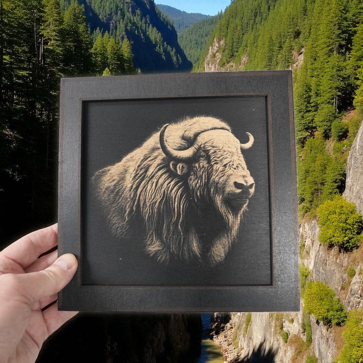 Framed Art - CUSTOM - Musk Ox