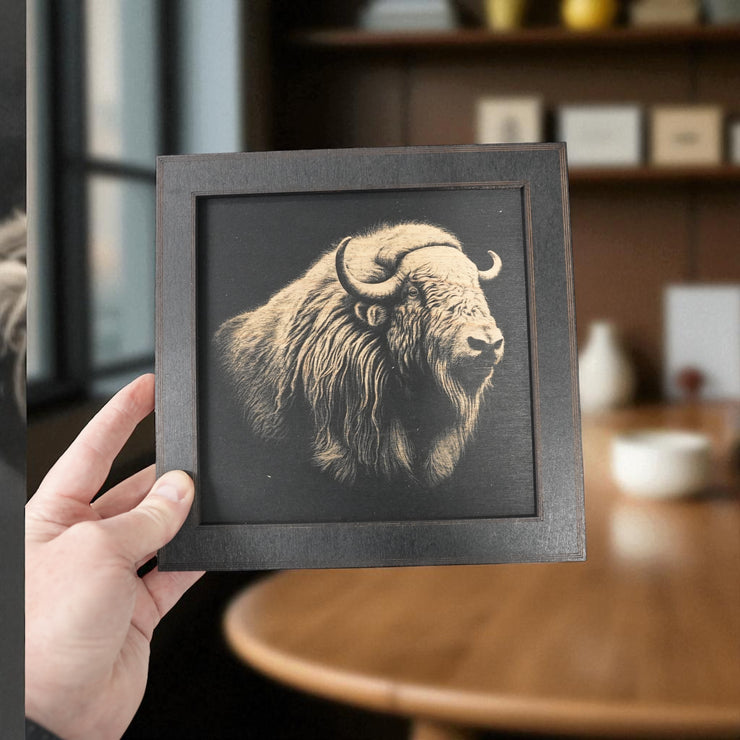 Framed Art - CUSTOM - Musk Ox