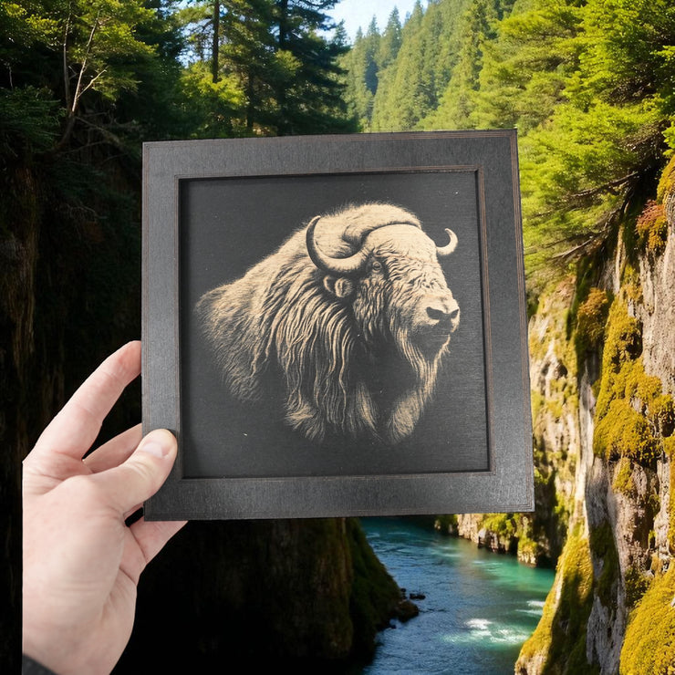 Framed Art - CUSTOM - Musk Ox