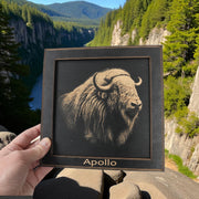 Framed Art - PERSONALIZED - CUSTOM - Musk Ox