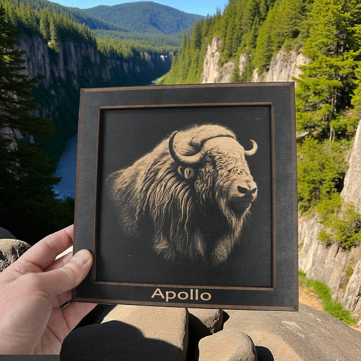 Framed Art - PERSONALIZED - CUSTOM - Musk Ox