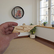 Ornament - CUSTOM - Tennessee State with Cities