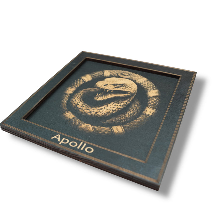 Framed Art - PERSONALIZED - CUSTOM - Coiled Snake