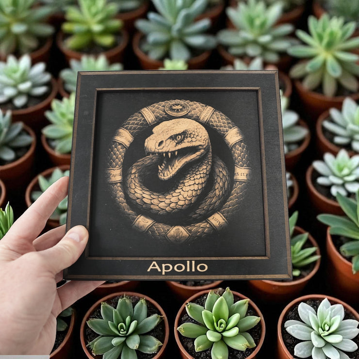 Framed Art - PERSONALIZED - CUSTOM - Coiled Snake
