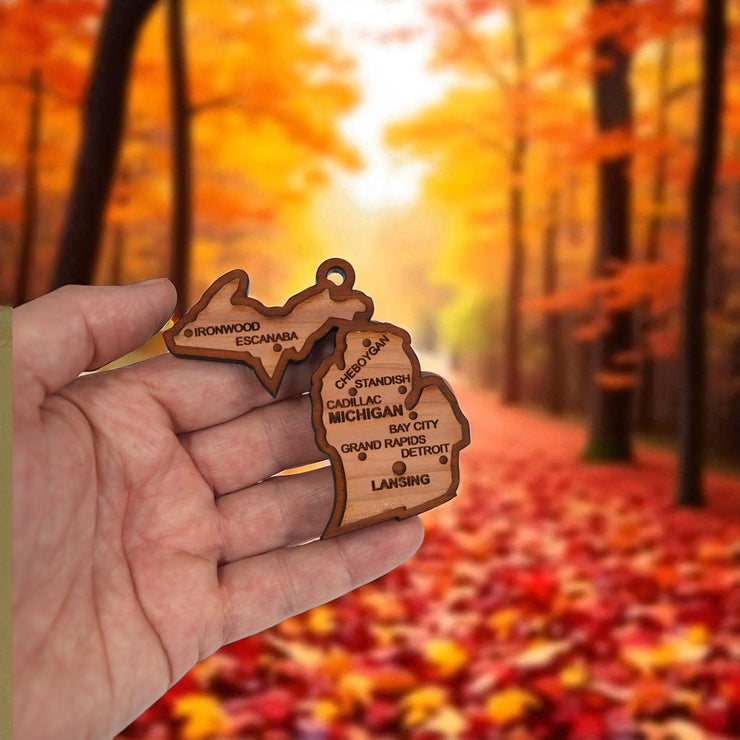 Ornament - CUSTOM - Michigan State with Cities