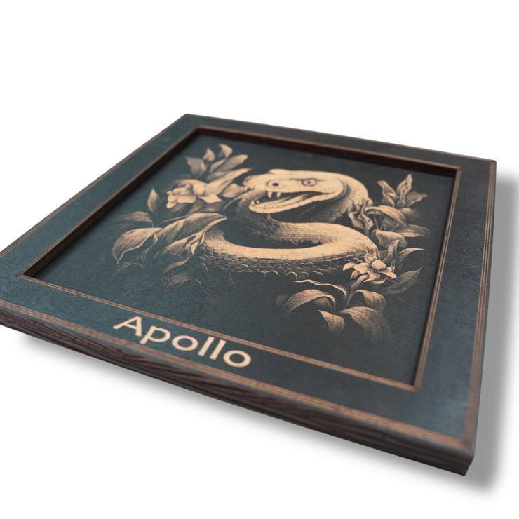Framed Art - PERSONALIZED - CUSTOM - Snake