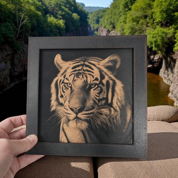 Framed Art - CUSTOM - Tiger