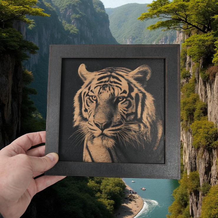 Framed Art - CUSTOM - Tiger