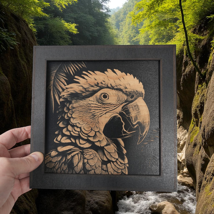 Framed Art - CUSTOM - Tropical Bird