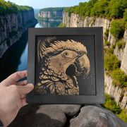 Framed Art - CUSTOM - Tropical Bird