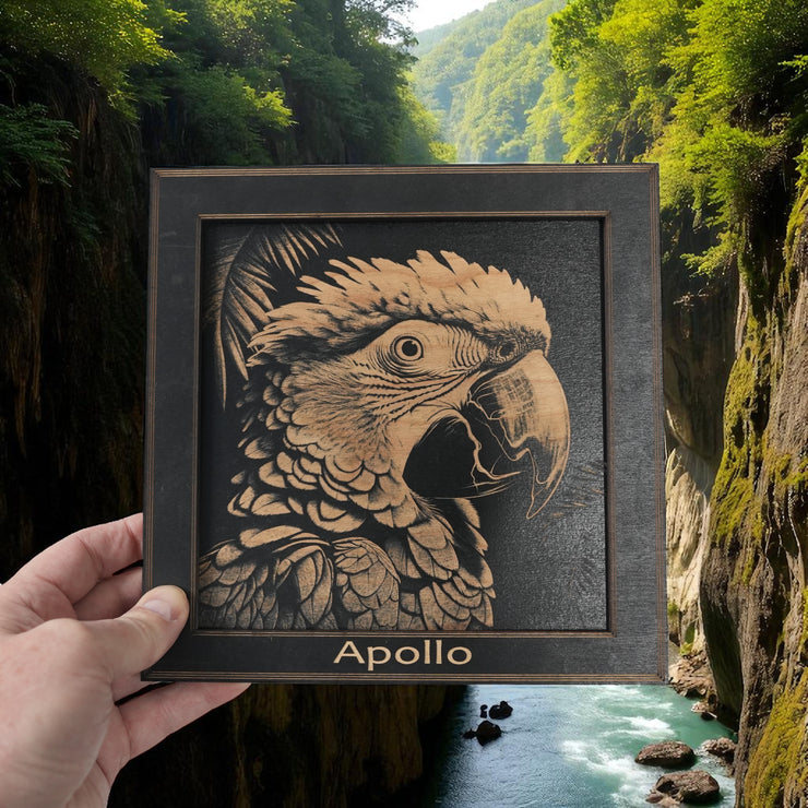 Framed Art - PERSONALIZED - CUSTOM - Tropical Bird